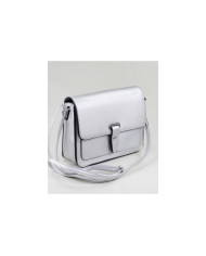 Ladies Silver Case with Adjustable Handle