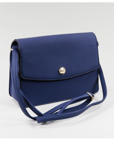 Case Blue Stripe of Lady