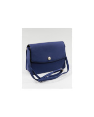 Case Blue Stripe of Lady