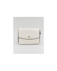 Beige Bag Stripe of Lady