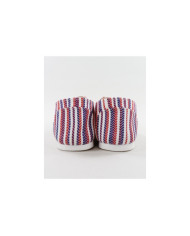 Pintores Lady Ginova con Standard