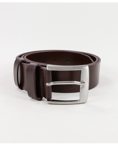 Brown Man Belt in Skin