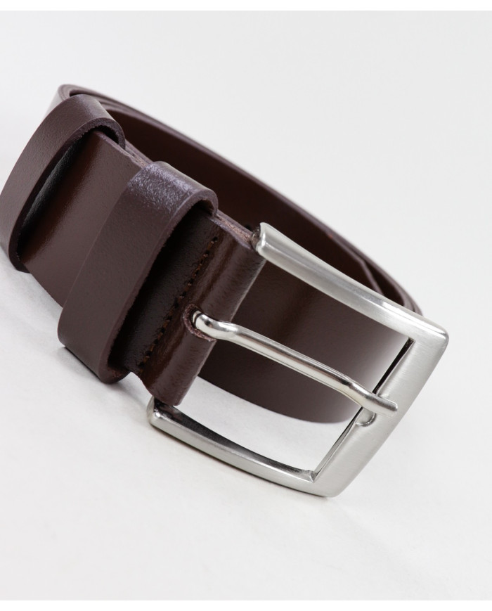 Brown Man Belt in Skin