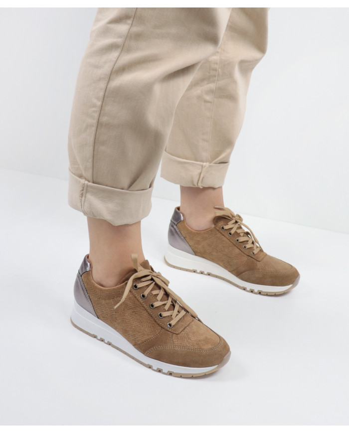 Camel Trainers of Lady Ginova of Wholesalers