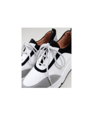 Zapatos Ginova con Wholesalers