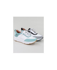 Zapatos Ginova con Wholesalers