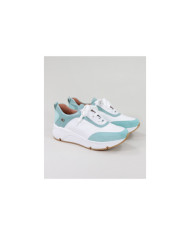 Zapatos Ginova con Wholesalers