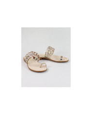 Golden Slippers of Lady Ginova with Strips