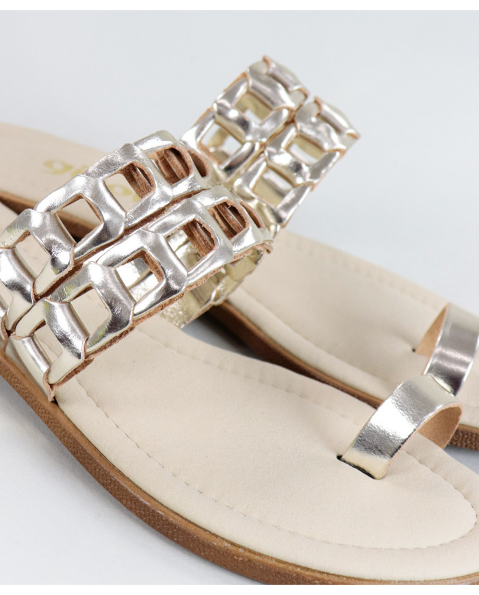 Golden Slippers of Lady Ginova with Strips