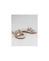 Golden Slippers of Lady Ginova with Strip Decorated