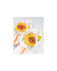 Chinelos Ipanema Anatomic Temas XII Bege