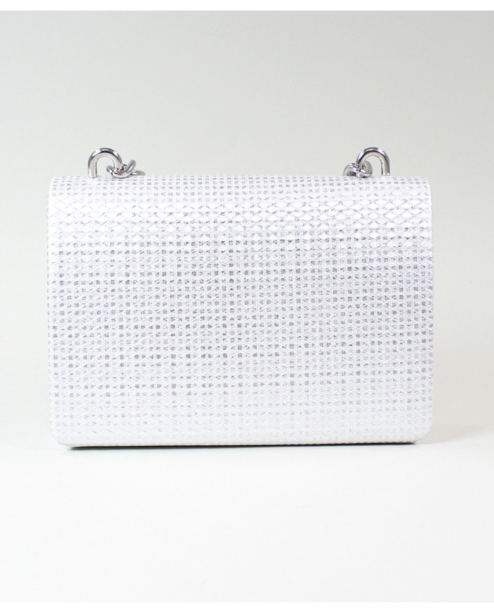 Ladies Silver Case with Chain