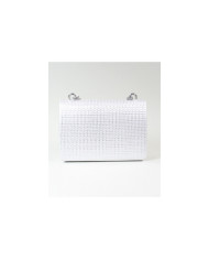 Ladies Silver Case with Chain