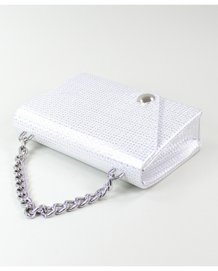 Ladies Silver Case with Chain