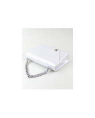 Ladies Silver Case with Chain