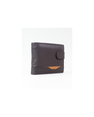 Brown Man Wallet