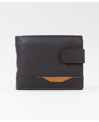 Brown Man Wallet