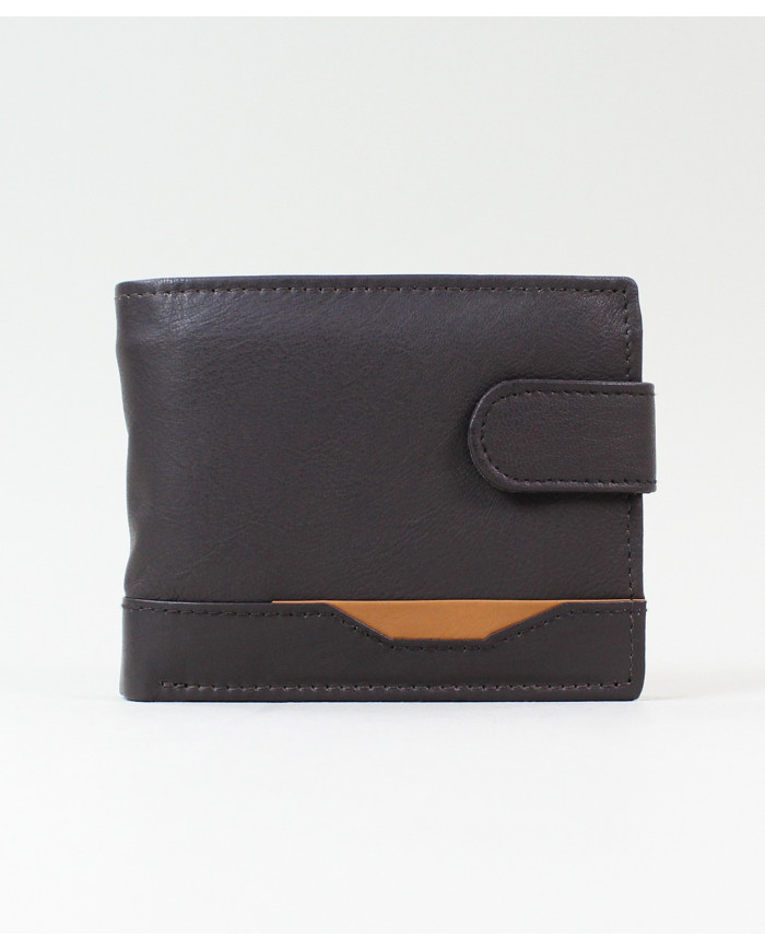 Brown Man Wallet
