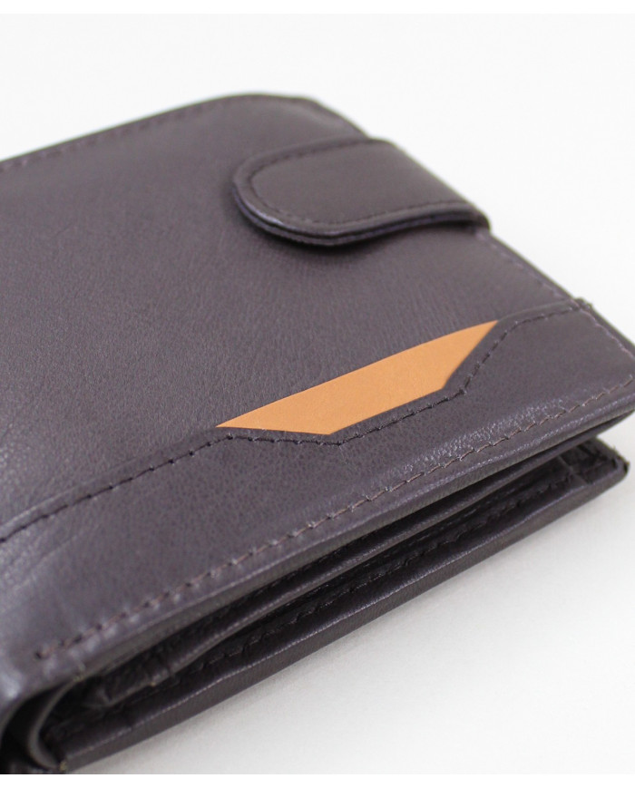 Brown Man Wallet