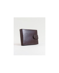 Men's Wallet in Skin with Partitions