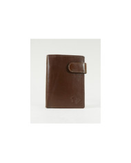 Carteira Castanha de Homem  Ginova