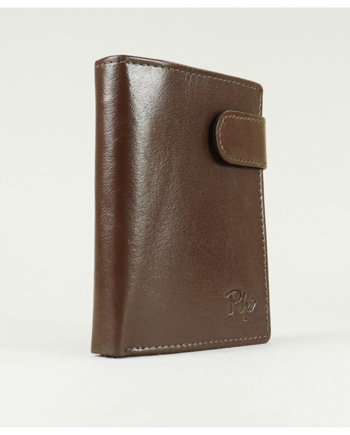 Carteira Castanha de Homem