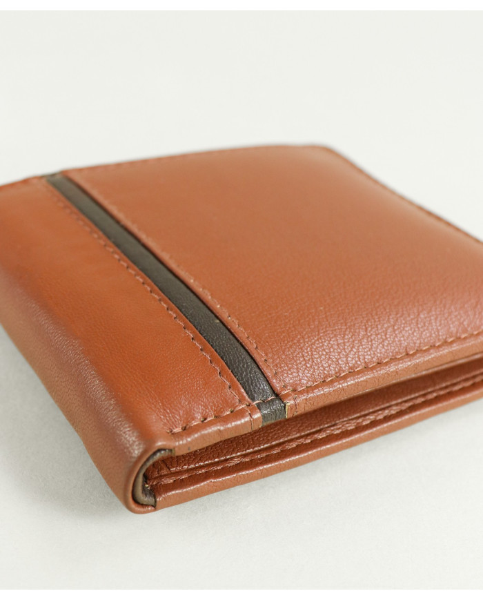 Camel Wallet of Man ← Ginova
