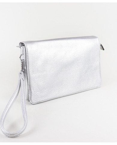 Silver Practice Women's Case