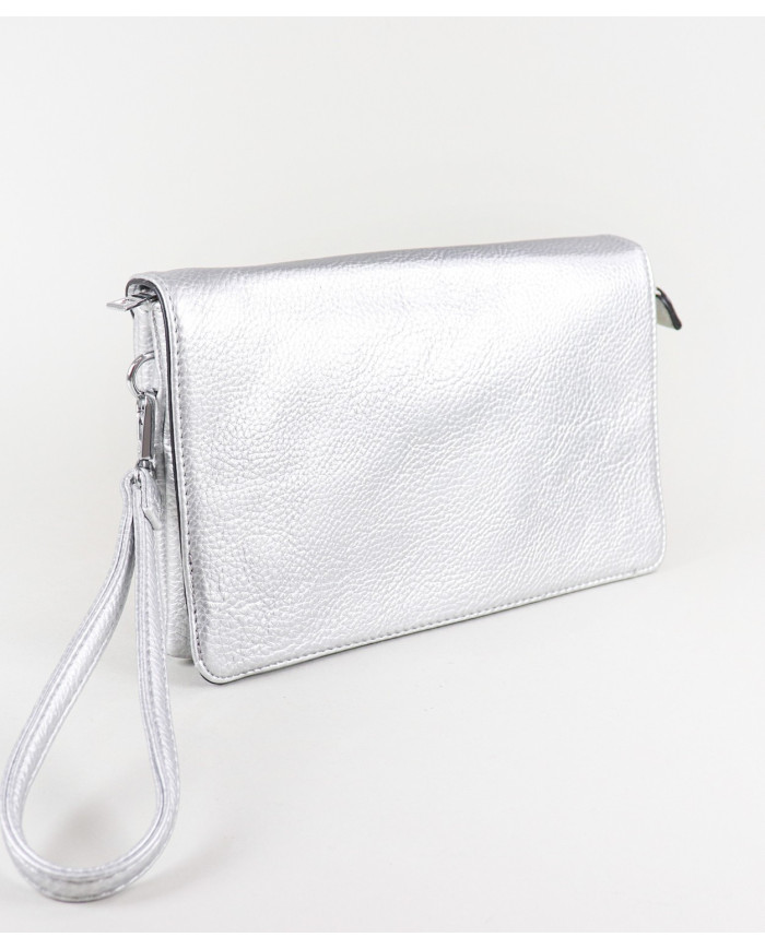 Silver Practice Women's Case