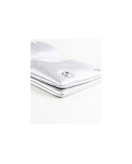 Caso de la mujer de la práctica de plata