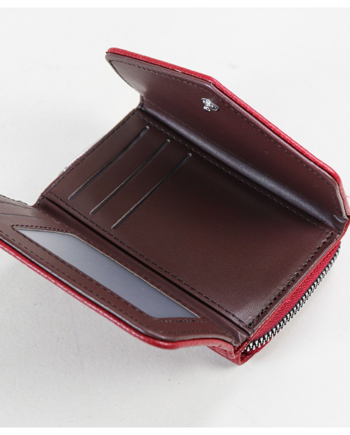 Cartera de mujeres con particiones