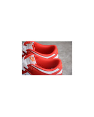 Nike Dunk Low Pro SB