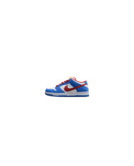 Nike Dunk Low SB