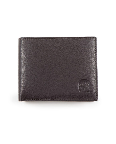 Brown Man Wallet